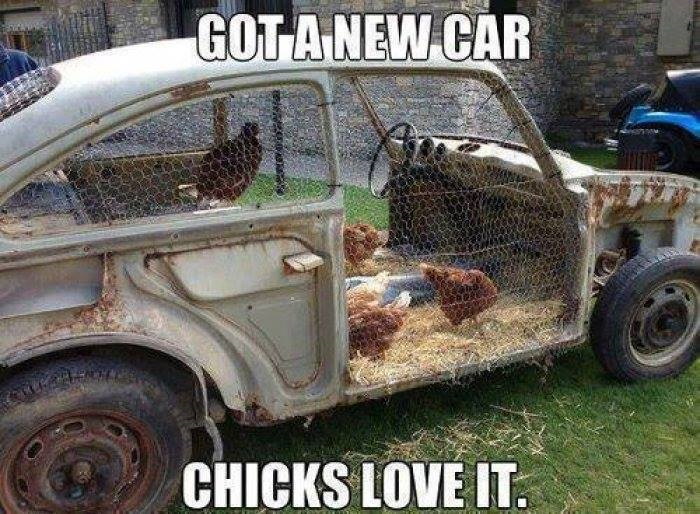 Chicks Love New Car