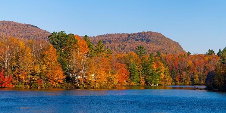 Fall Colours 