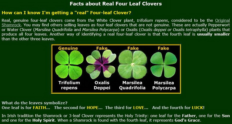 Four Leaf Clover Facts