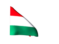 Hungarian Flag 120