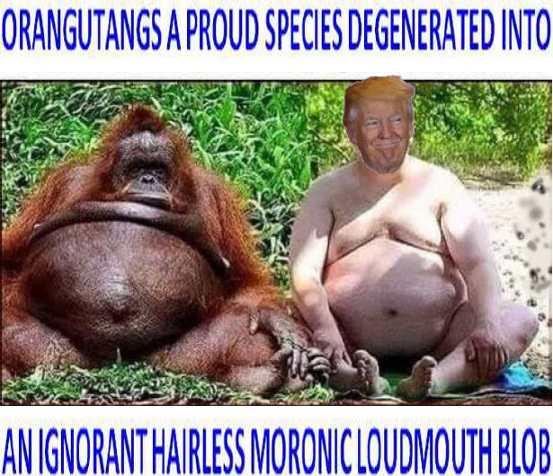 Donlad Trump the Ignorant Narcissistic Boor