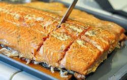 Salmon