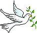 dove olivebranch