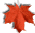 maple leaf