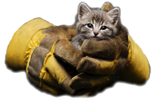 Emergency Preparedness Guide Canada Emergency Preparedness Guide Canada