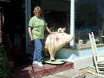 Gloria Dover Hog